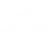 Pier